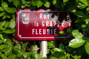 AOC Fleurie Route Beaujolais
