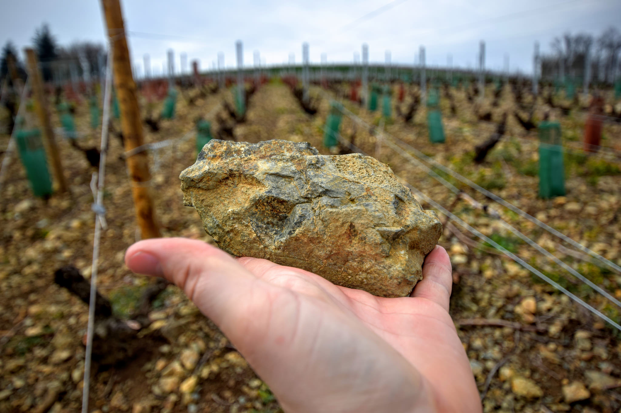 Mont Brouilly Suolo AOC Beaujolais Brouilly