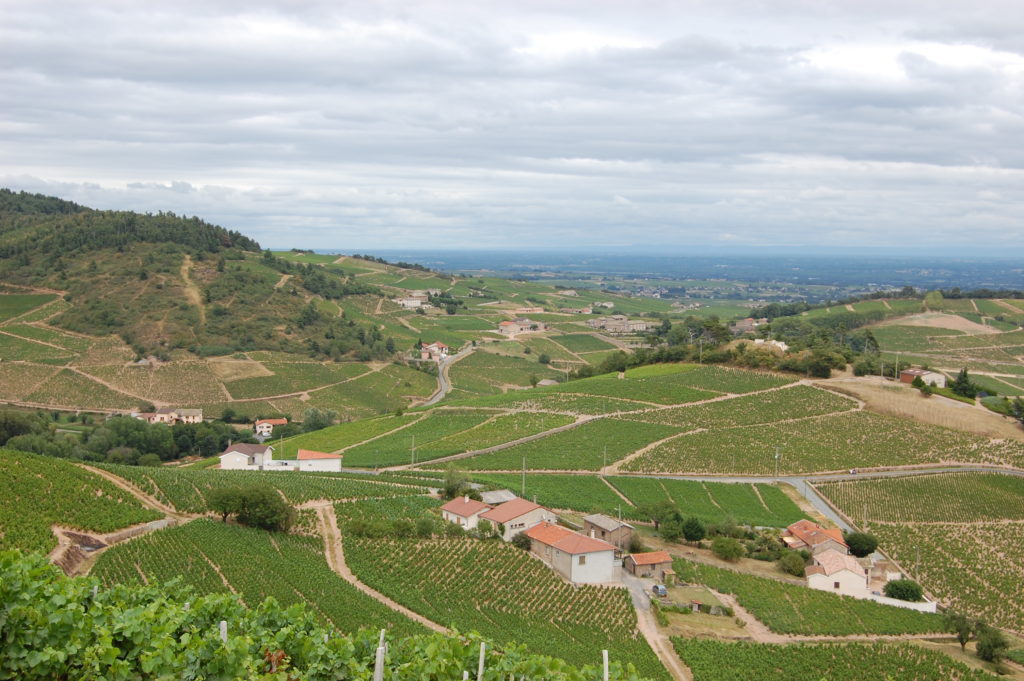 Beaujolais AOC Chiroubles