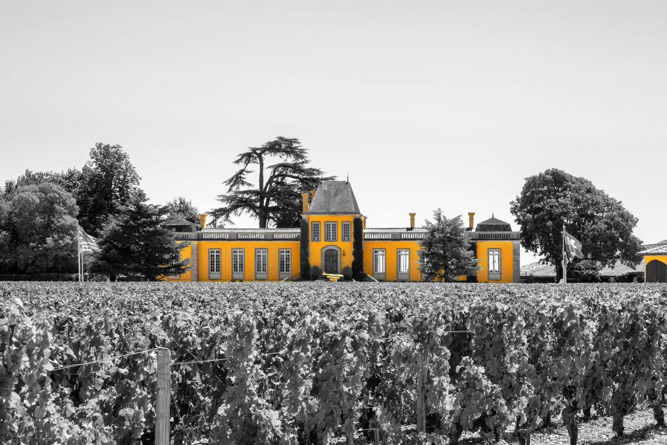 Chateau Lafon-Rochet